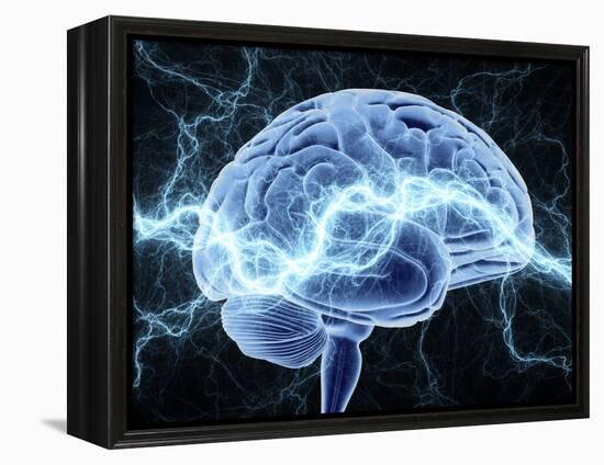 Human Brain, Conceptual Artwork-PASIEKA-Framed Premier Image Canvas