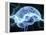 Human Brain, Conceptual Artwork-PASIEKA-Framed Premier Image Canvas