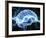 Human Brain, Conceptual Artwork-PASIEKA-Framed Photographic Print