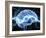 Human Brain, Conceptual Artwork-PASIEKA-Framed Photographic Print