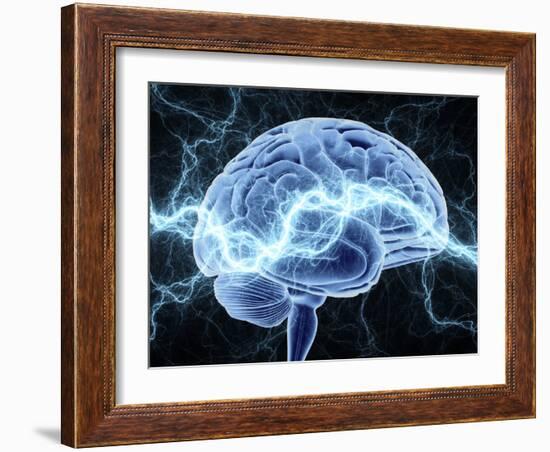 Human Brain, Conceptual Artwork-PASIEKA-Framed Photographic Print