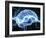 Human Brain, Conceptual Artwork-PASIEKA-Framed Photographic Print