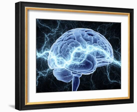 Human Brain, Conceptual Artwork-PASIEKA-Framed Photographic Print