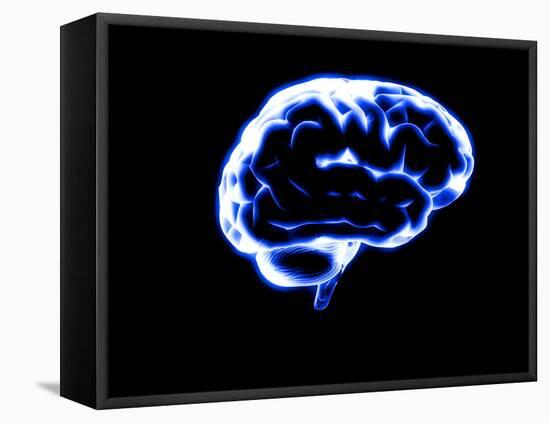 Human Brain-Christian Darkin-Framed Premier Image Canvas