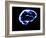 Human Brain-Christian Darkin-Framed Photographic Print