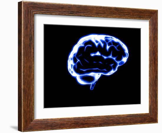 Human Brain-Christian Darkin-Framed Photographic Print