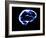 Human Brain-Christian Darkin-Framed Photographic Print