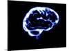 Human Brain-Christian Darkin-Mounted Photographic Print