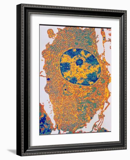 Human Cell-PASIEKA-Framed Photographic Print