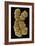 Human Chromosome 10, SEM-Science Photo Library-Framed Photographic Print