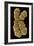 Human Chromosome 10, SEM-Science Photo Library-Framed Photographic Print