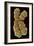 Human Chromosome 10, SEM-Science Photo Library-Framed Photographic Print