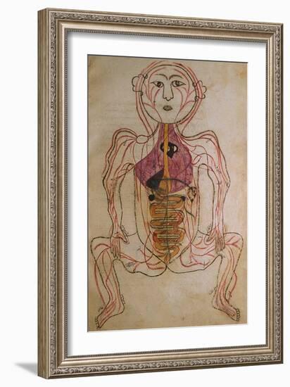 Human Circulation System from Mansur's Anatomy by 15th C. Persian Mansur Ibn Ilyas-null-Framed Art Print