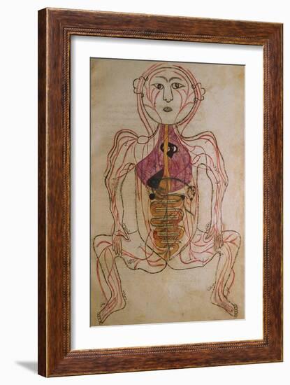 Human Circulation System from Mansur's Anatomy by 15th C. Persian Mansur Ibn Ilyas-null-Framed Art Print