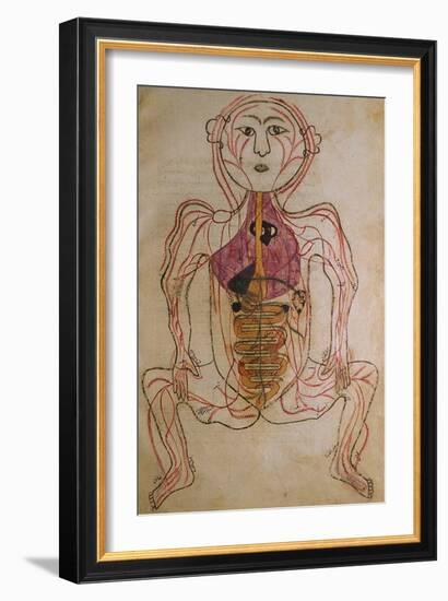 Human Circulation System from Mansur's Anatomy by 15th C. Persian Mansur Ibn Ilyas-null-Framed Art Print