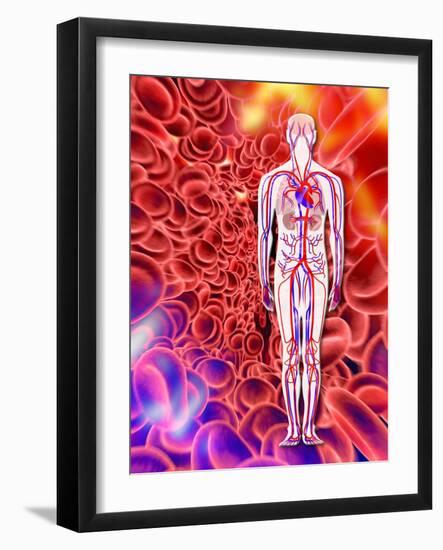 Human Circulatory System, Artwork-PASIEKA-Framed Photographic Print