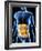 Human Digestive System, Artwork-PASIEKA-Framed Photographic Print