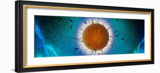 Human Egg Being Fertilized by Sperm-null-Framed Photographic Print