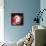 Human Embryo-Christian Darkin-Framed Premier Image Canvas displayed on a wall