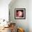 Human Embryo-Christian Darkin-Framed Premium Photographic Print displayed on a wall