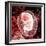 Human Embryo-Christian Darkin-Framed Premium Photographic Print