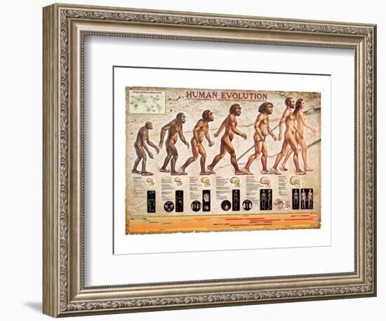 Human Evolution-null-Framed Art Print