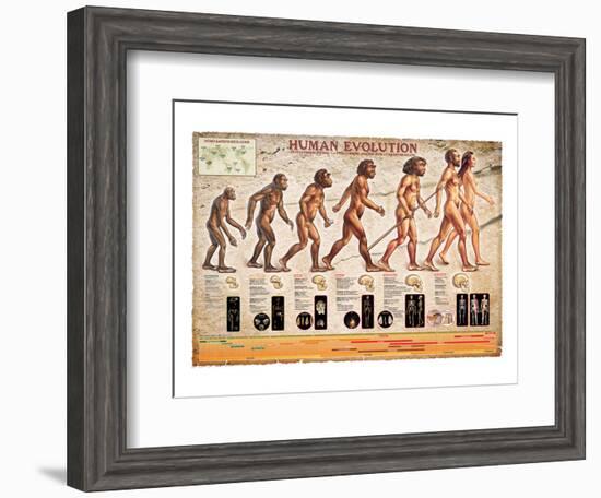 Human Evolution-null-Framed Art Print