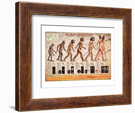 Human Evolution-null-Framed Art Print