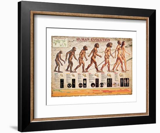 Human Evolution-null-Framed Art Print