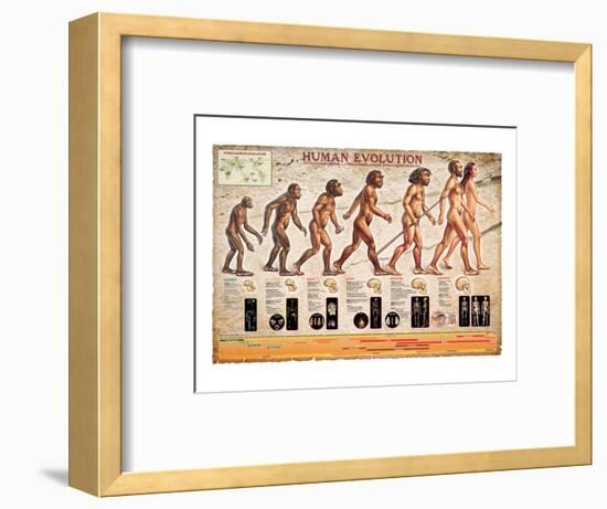 Human Evolution-null-Framed Art Print