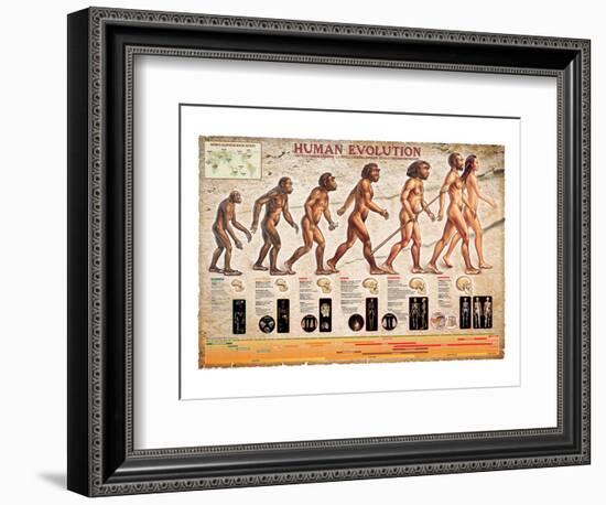 Human Evolution-null-Framed Art Print