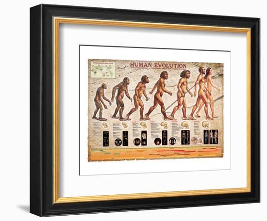 Human Evolution-null-Framed Art Print