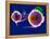 Human Eye Anatomy, Artwork-Roger Harris-Framed Premier Image Canvas