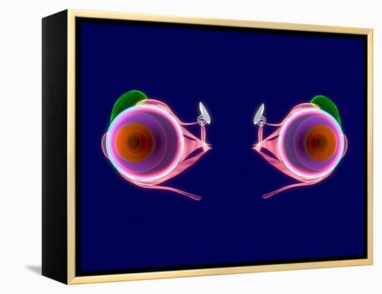 Human Eye Anatomy, Artwork-Roger Harris-Framed Premier Image Canvas