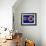 Human Eye Anatomy, Artwork-Roger Harris-Framed Photographic Print displayed on a wall