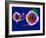 Human Eye Anatomy, Artwork-Roger Harris-Framed Photographic Print