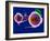 Human Eye Anatomy, Artwork-Roger Harris-Framed Photographic Print