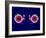 Human Eye Anatomy, Artwork-Roger Harris-Framed Photographic Print