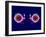 Human Eye Anatomy, Artwork-Roger Harris-Framed Photographic Print