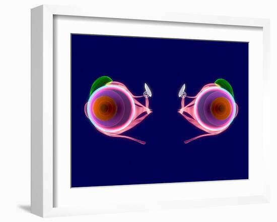 Human Eye Anatomy, Artwork-Roger Harris-Framed Photographic Print