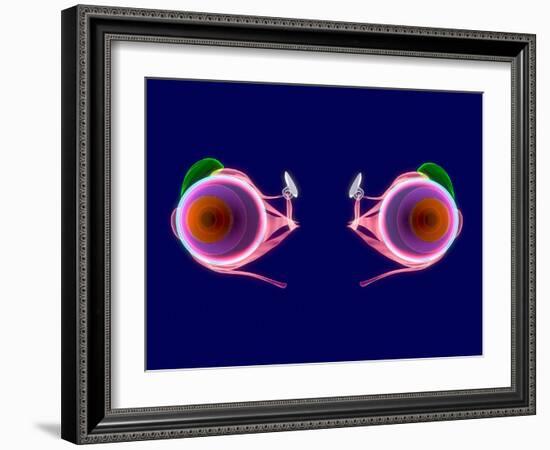 Human Eye Anatomy, Artwork-Roger Harris-Framed Photographic Print