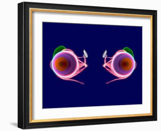 Human Eye Anatomy, Artwork-Roger Harris-Framed Photographic Print