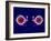 Human Eye Anatomy, Artwork-Roger Harris-Framed Photographic Print