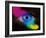 Human Eye-Mehau Kulyk-Framed Photographic Print