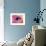 Human Eye-PASIEKA-Framed Photographic Print displayed on a wall