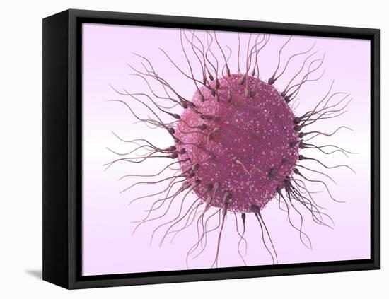 Human Fertilisation, Artwork-David Mack-Framed Premier Image Canvas