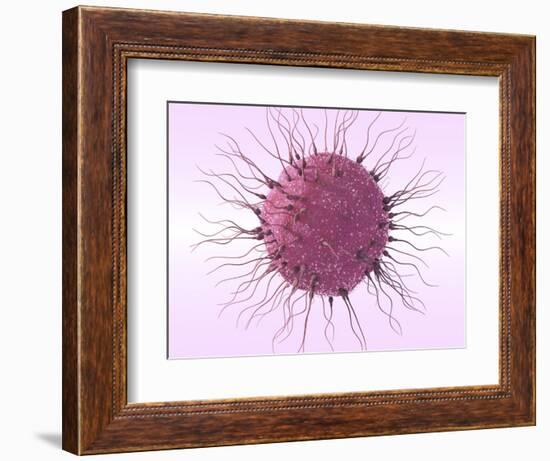 Human Fertilisation, Artwork-David Mack-Framed Premium Photographic Print