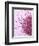 Human Fertilisation, Artwork-David Mack-Framed Premium Photographic Print