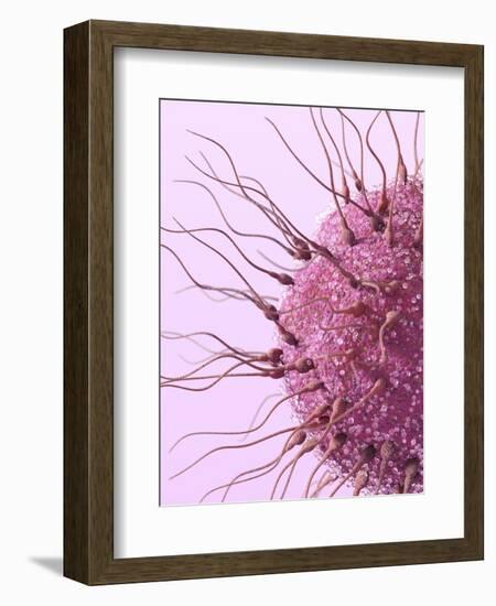 Human Fertilisation, Artwork-David Mack-Framed Premium Photographic Print