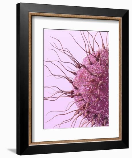 Human Fertilisation, Artwork-David Mack-Framed Premium Photographic Print